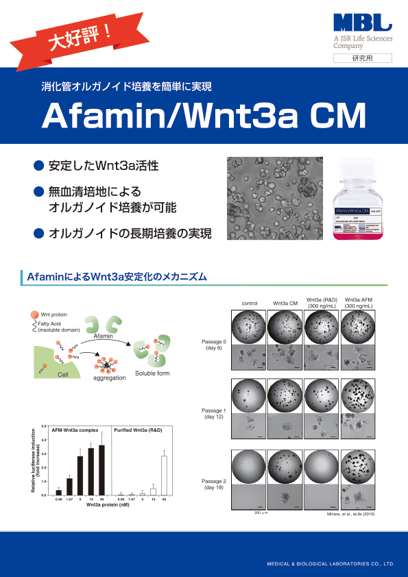Afamin/Wnt3a CMパンフレット  