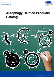 Autophagy-Related Products Catalog