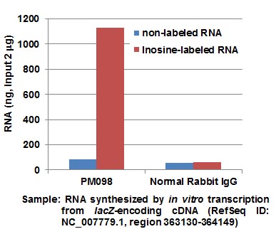 RNA-IPデータ