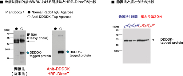 Anti-DDDDK-tag HRP-DirecT　(Code No.PM020-7)間接法との比較、静置法と振とう法の比較