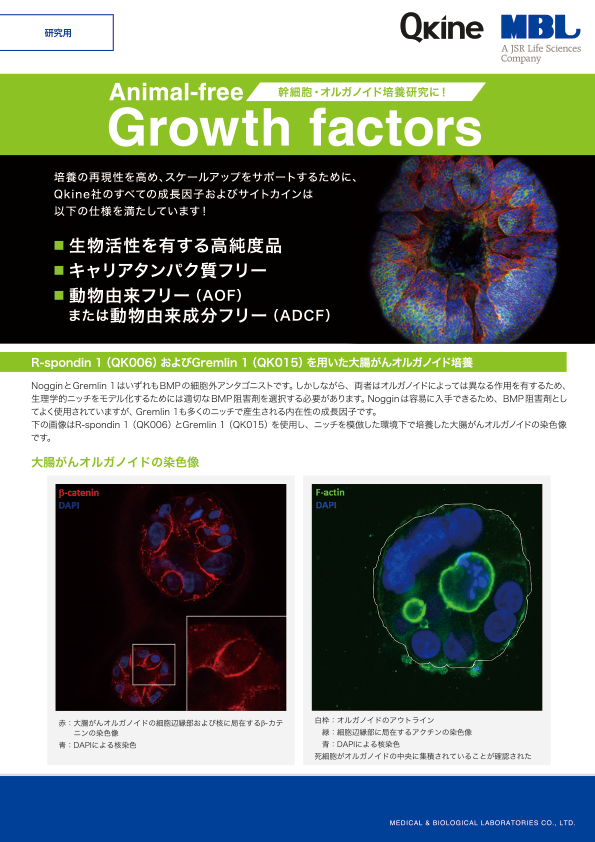 Qkine社 Animal-free Growth factors