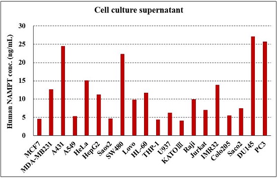 Human NAMPT concentration in cell culture supernatants.