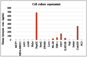 Human lysozyme concentration in cell culture supernatants