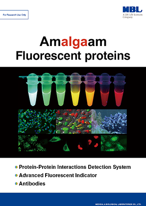 Amalgaam Fluorescent proteins