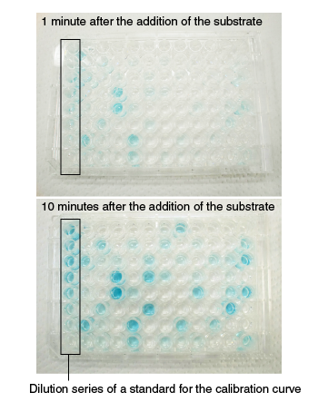 ELISA substrate solution