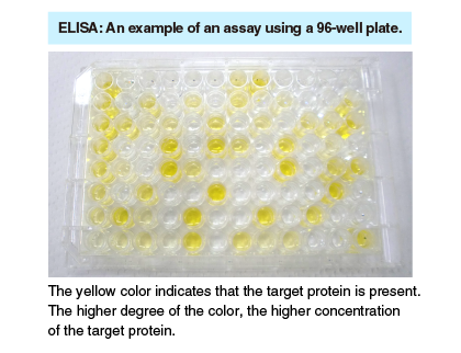 ELISA: An example of an assay using a 96-well plate