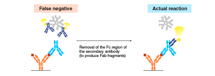 Example 1-2 for reduction of non-specific reactions
