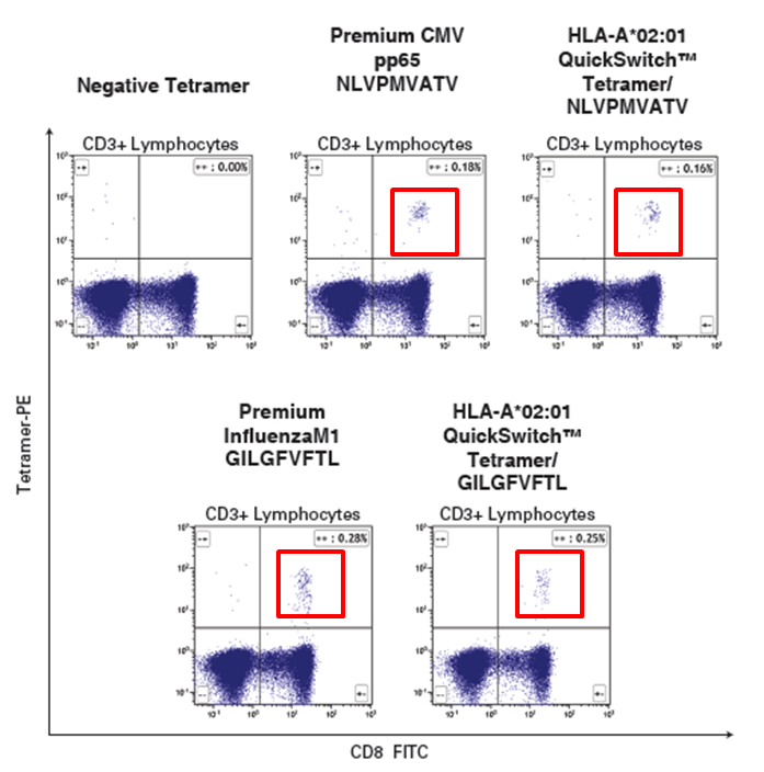 HLA-A*02:01 CMV pp65 (NLVPMVATV)とHLA-A*02:01 Influenza M1 (GILGFVFTL)の例