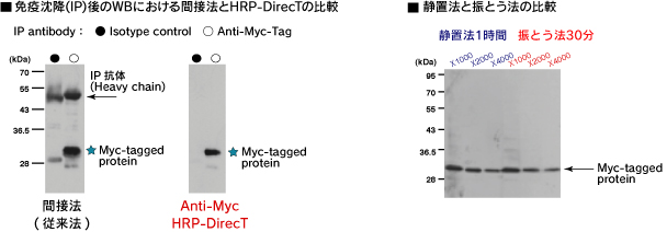 Anti-Myc-tag HRP-DirecT　(Code No.M047-7)間接法との比較、静置法と振とう法の比較