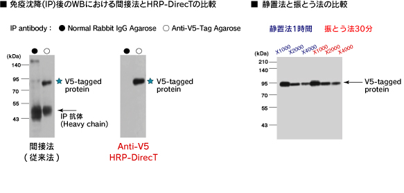 Anti-V5-tag HRP-DirecT　(Code No.PM003-7)間接法との比較、静置法と振とう法の比較