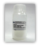 Tagged Protein PURIFICATION GEL 