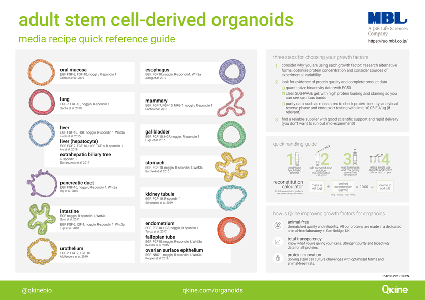 Qkine社 （成人）組織幹細胞由来オルガノイドポスター（2022年12月改訂）