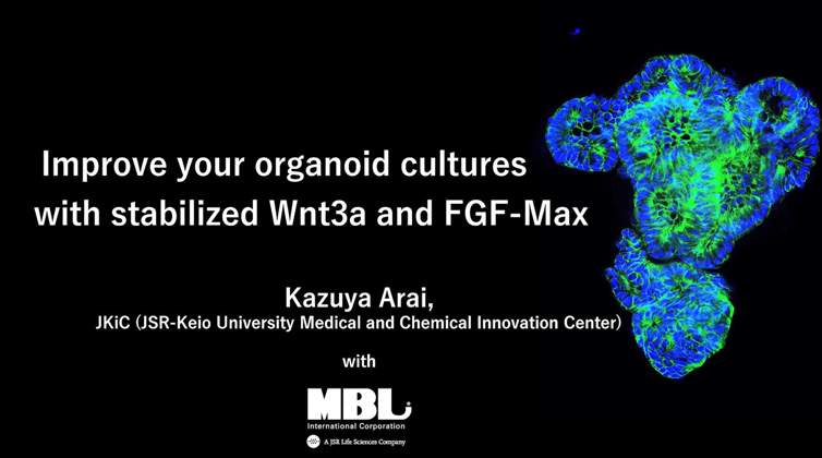 Improve your organoid cultures with stabilized Wnt3a and FGF-Max