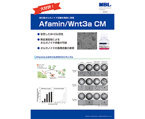 Afamin/Wnt3a CMパンフレット